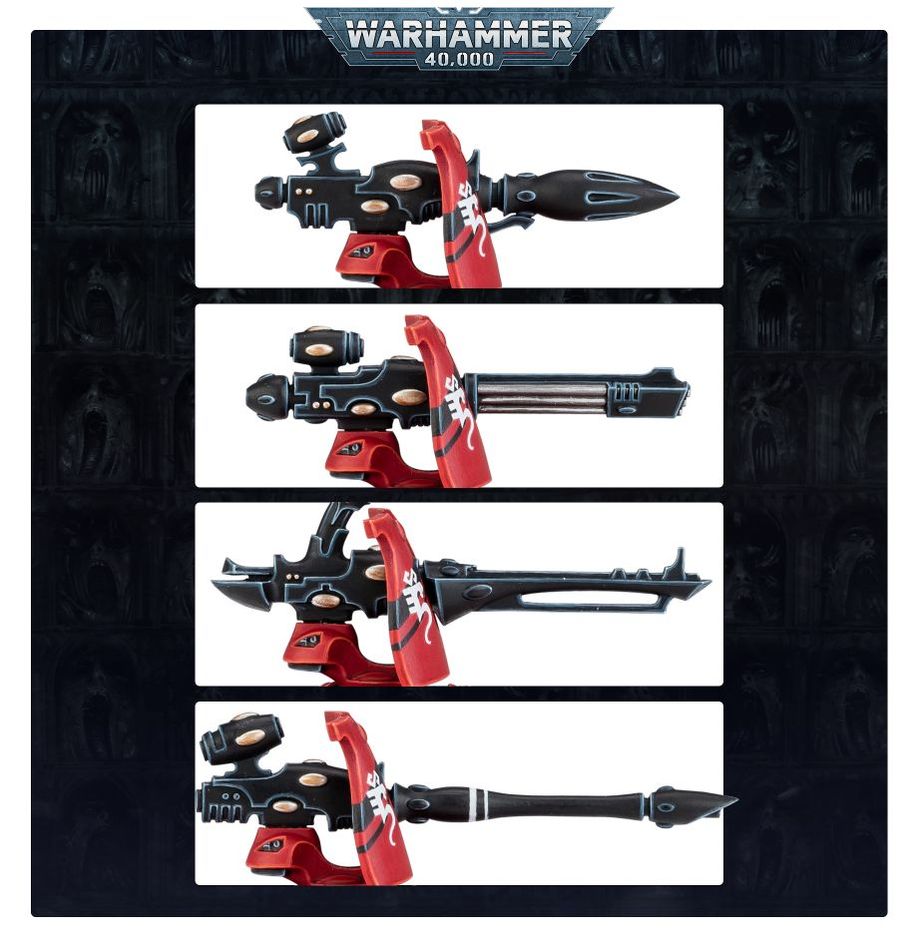 AELDARI: GUARDIANS DEFENDERS / STORM GUARDIANS (DUAL KIT) - Image 5
